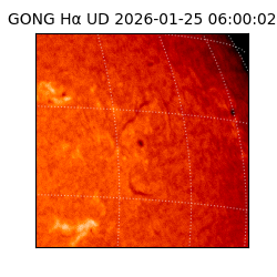 gong - 2026-01-25T06:00:02