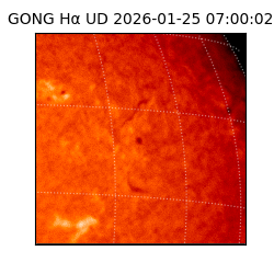 gong - 2026-01-25T07:00:02