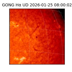 gong - 2026-01-25T08:00:02