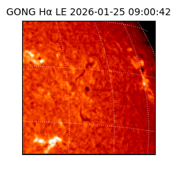 gong - 2026-01-25T09:00:42