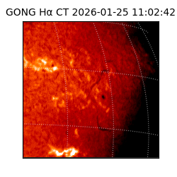 gong - 2026-01-25T11:02:42