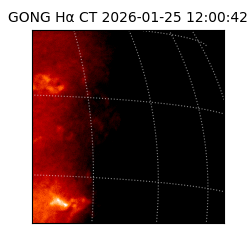 gong - 2026-01-25T12:00:42