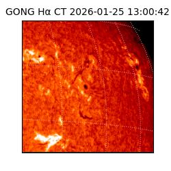 gong - 2026-01-25T13:00:42