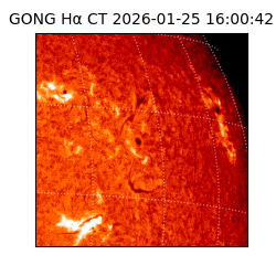gong - 2026-01-25T16:00:42