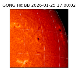 gong - 2026-01-25T17:00:02