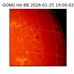 gong - 2026-01-25T19:00:02