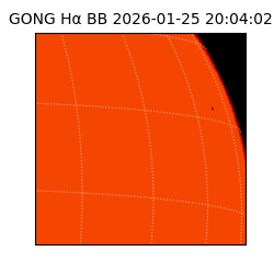 gong - 2026-01-25T20:04:02