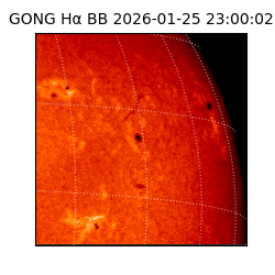 gong - 2026-01-25T23:00:02