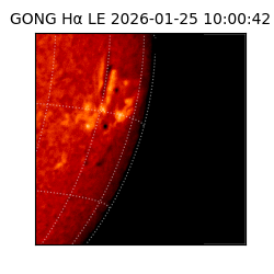 gong - 2026-01-25T10:00:42