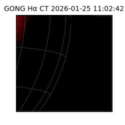 gong - 2026-01-25T11:02:42