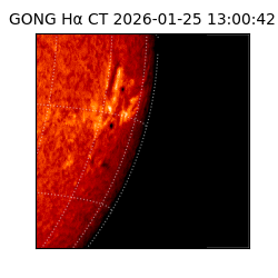 gong - 2026-01-25T13:00:42