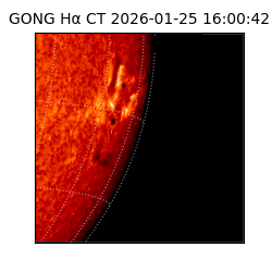 gong - 2026-01-25T16:00:42