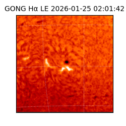 gong - 2026-01-25T02:01:42