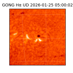 gong - 2026-01-25T05:00:02
