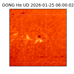 gong - 2026-01-25T06:00:02