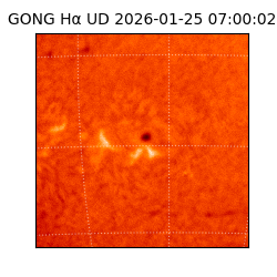 gong - 2026-01-25T07:00:02