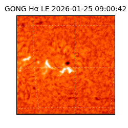 gong - 2026-01-25T09:00:42