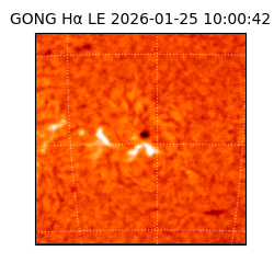 gong - 2026-01-25T10:00:42