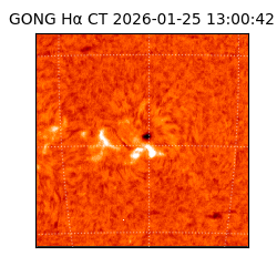 gong - 2026-01-25T13:00:42