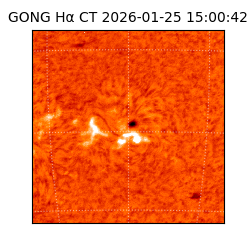 gong - 2026-01-25T15:00:42