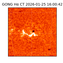 gong - 2026-01-25T16:00:42