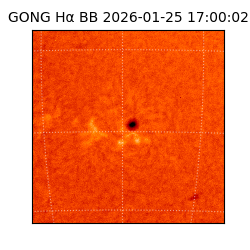 gong - 2026-01-25T17:00:02