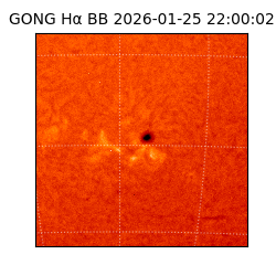 gong - 2026-01-25T22:00:02