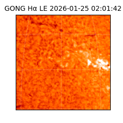 gong - 2026-01-25T02:01:42
