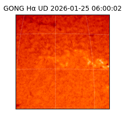 gong - 2026-01-25T06:00:02