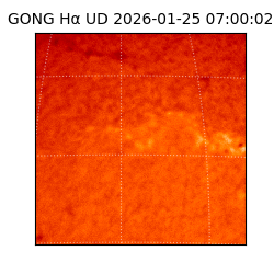 gong - 2026-01-25T07:00:02