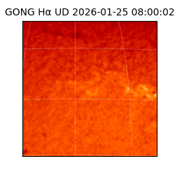 gong - 2026-01-25T08:00:02