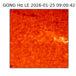 gong - 2026-01-25T09:00:42