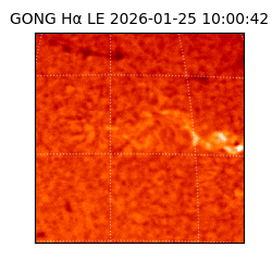 gong - 2026-01-25T10:00:42