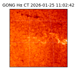 gong - 2026-01-25T11:02:42