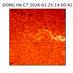 gong - 2026-01-25T14:00:42