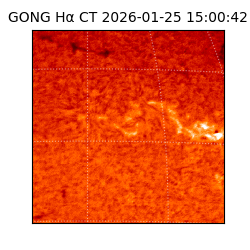 gong - 2026-01-25T15:00:42