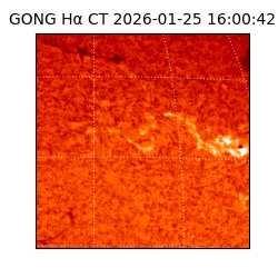 gong - 2026-01-25T16:00:42