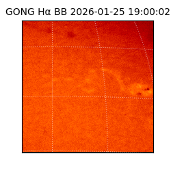 gong - 2026-01-25T19:00:02