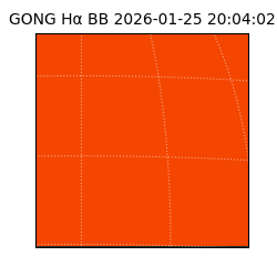 gong - 2026-01-25T20:04:02