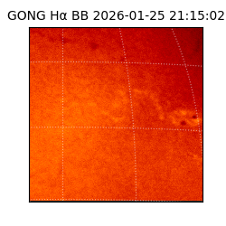 gong - 2026-01-25T21:15:02