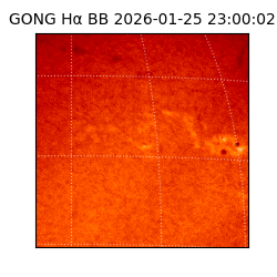 gong - 2026-01-25T23:00:02