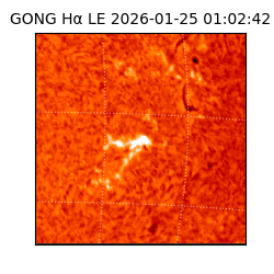 gong - 2026-01-25T01:02:42