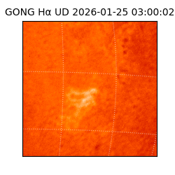 gong - 2026-01-25T03:00:02