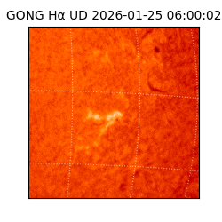 gong - 2026-01-25T06:00:02