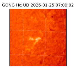 gong - 2026-01-25T07:00:02