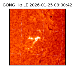 gong - 2026-01-25T09:00:42