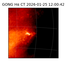 gong - 2026-01-25T12:00:42