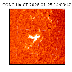 gong - 2026-01-25T14:00:42