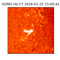 gong - 2026-01-25T15:00:42