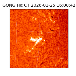 gong - 2026-01-25T16:00:42